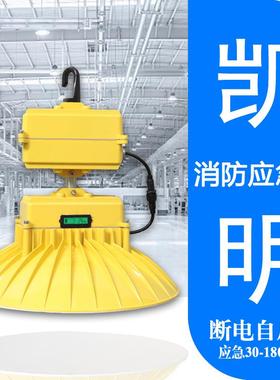 10W吊装6式LED停电自5动应急工矿灯10W8SGP0W0W50W应急060分钟灯