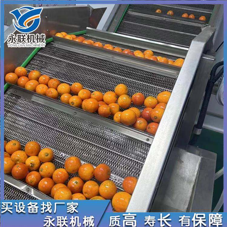 叶菜类蔬菜气泡清洗机预制菜清洗机果蔬气泡清洗机水果清洗机