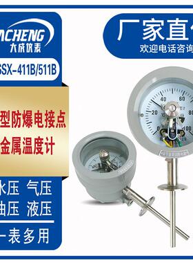 大成防爆双金属温度计电接点温度计隔爆温度计WSSX411BCT6