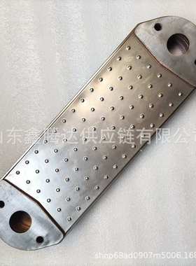 Scana 汽车散热器机油冷却器 8170816 20505537发动机车用