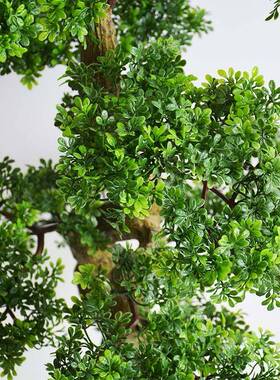 式仿真迎客松办室走廊过道楼梯间工艺品迎GX-40119中新客松摆公件