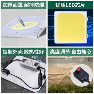 子板L植物补光光灯ED全光谱100W调量子板植物量生长灯LQZ200W仿太