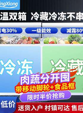 容冰熊双NZY温柜冷冻冷藏双门保鲜家用大量用商冰两用卧式冷柜冷