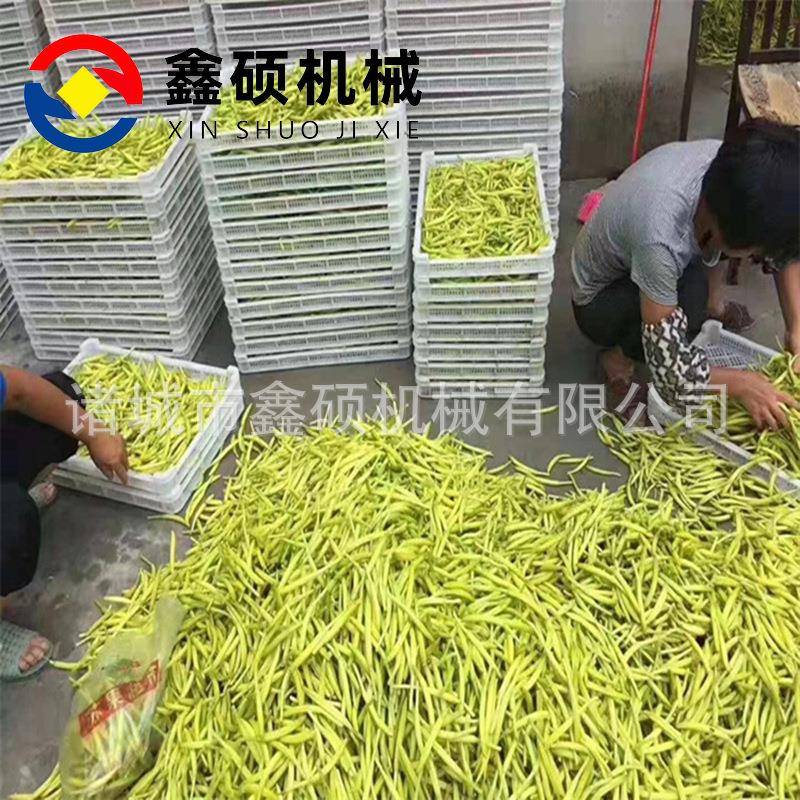 品WSP地瓜干空备商气能烘干房用农副产箱式烘干房设连续式烘干机