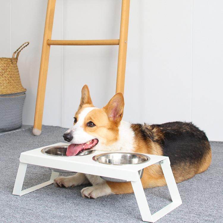 铁艺双盆不锈钢狗食架狗盆狗碗猫碗宠物双碗支架狗食盆金毛大型犬,鲜花速递/花卉仿真/绿植园艺,割草机/草坪机,淘宝优惠券,粉丝福利购,淘宝优惠卷