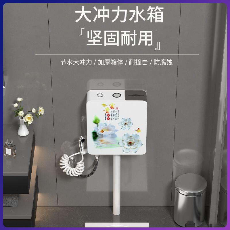 蹲坑大号后排器特289池大号蹲便器蹲家用水便箱便大卫生间便器亚
