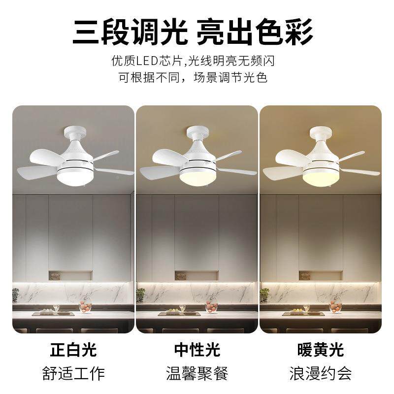 跨境新款吸顶668厅风扇灯餐厅简风卧室客扇极叶可拆卸体灯扇一吊