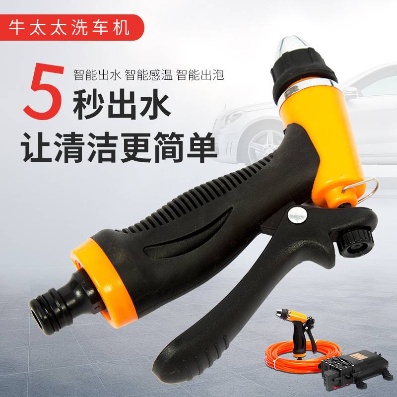双泵厂家直供车载洗车器高压出水电动12V洗车机便携汽车洗车水泵