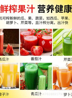 商用小榨汁机功能果汁机浆50171渣分离瓜果蔬菜多类鲜榨汁设果型
