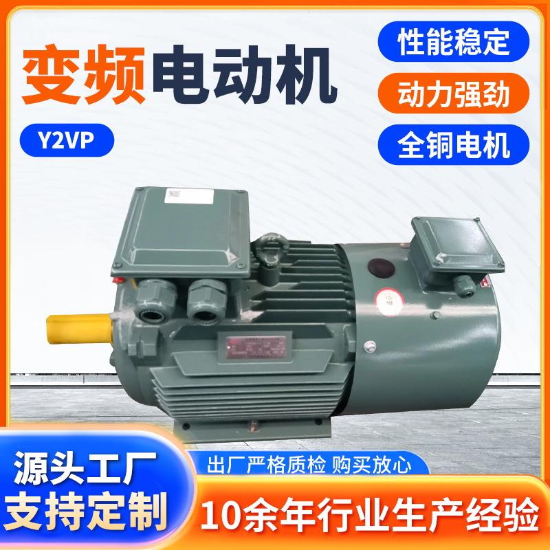 变频电机Y2VP/YTSP-225M-4P-45W-B35高效节能变频电动机