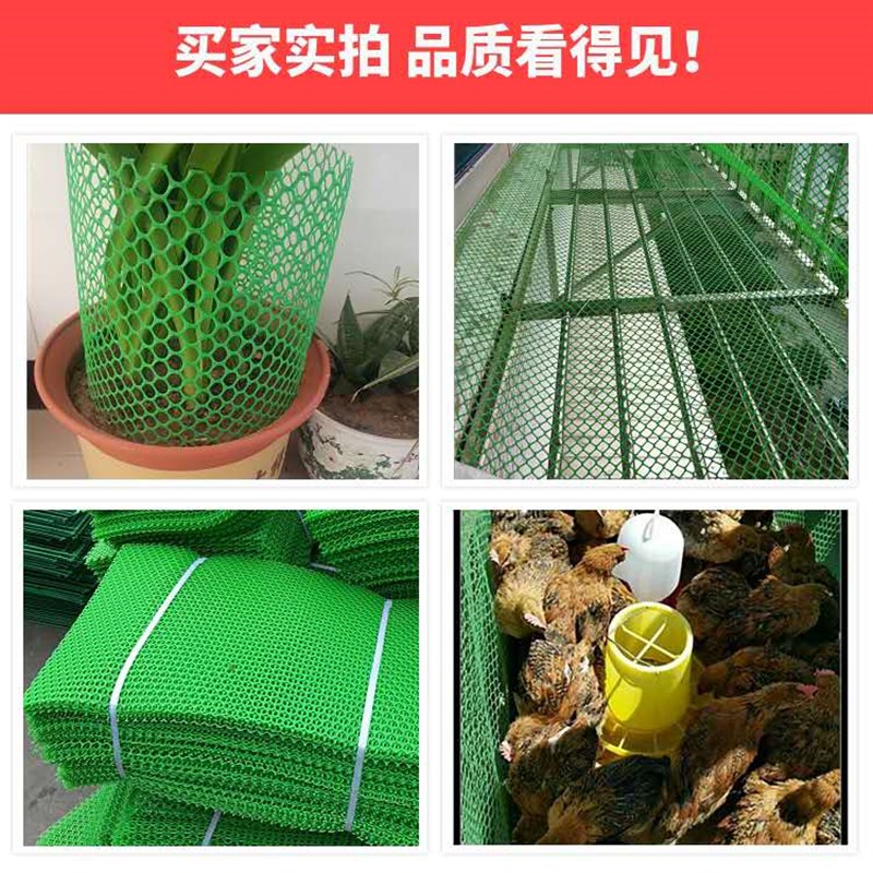 小孔加厚塑料网片阳台防护封窗安全防坠网养殖育雏网床鸡鸭鹅鱼塘