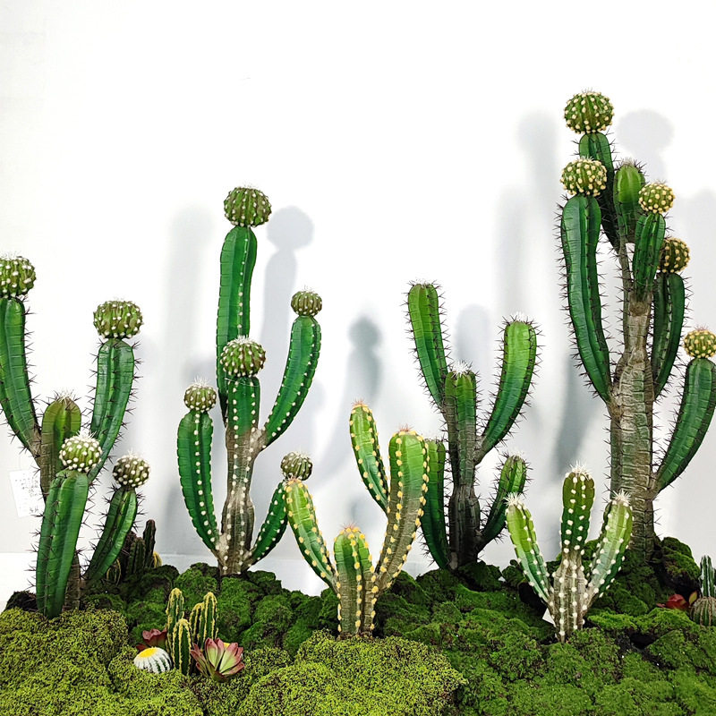 仿真植物仙人柱盆栽室内装饰造景摆件沙漠热带绿植仙人球仙人掌