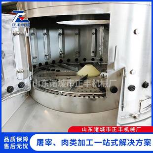 圆筒式生牛肚去杂一质抛洗肚机猪头OLI蹄尾去油机猪脚洗清光体机