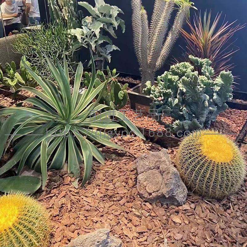 松园林景观铺装饰磨烘864445干松树皮松打树片面麟片庭院户外景木,鲜花速递/花卉仿真/绿植园艺,仿真绿植,淘宝优惠券,粉丝福利购,淘宝优惠卷