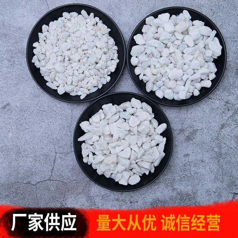 石白色子鹅卵石园林景721石观石头庭院造景铺路子白色石头