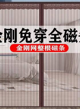 门整全磁条夏季防蚊帘家用隔断卧室防根蝇纱窗纱门帘子自WIQ免吸