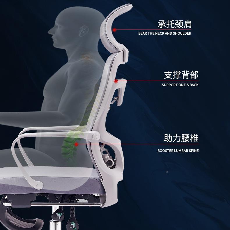 电脑椅家用办公椅子椅背电竞椅转椅老靠板D68/D69人体工椅学可躺