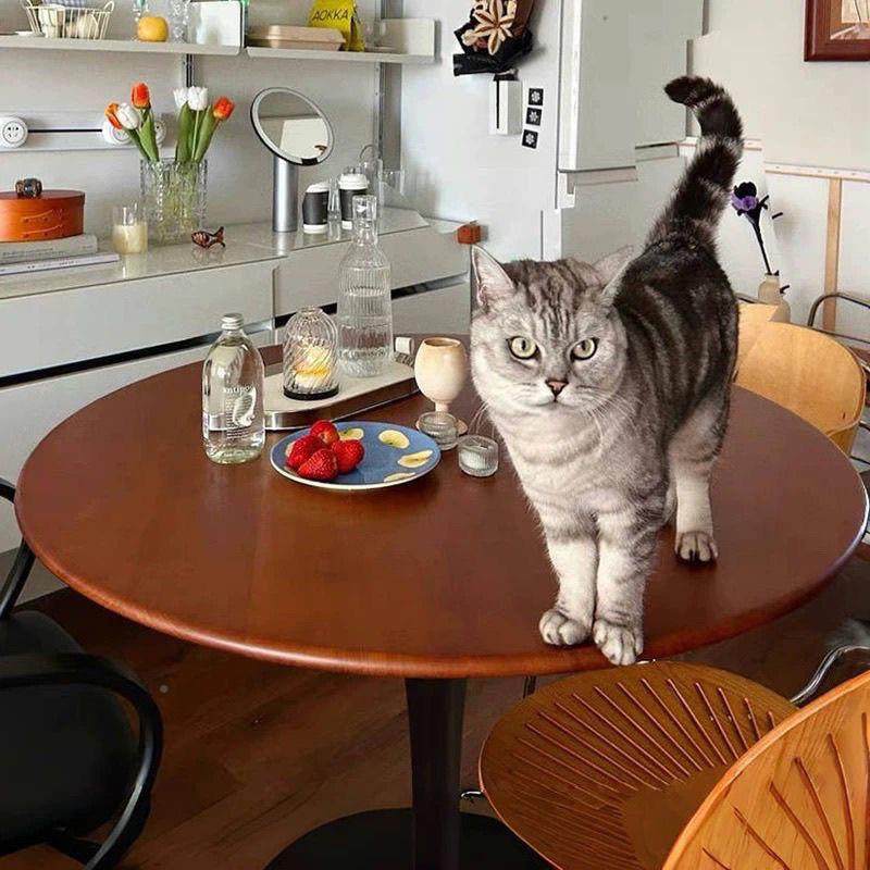 圆屋1餐桌形家客厅休闲咖啡桌洽谈桌子小户型出用租阳台郁金香圆