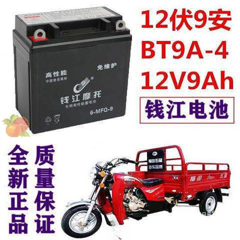 三轮摩托车1015/150/17宗申隆鑫免维护池蓄电112伏9安干电瓶