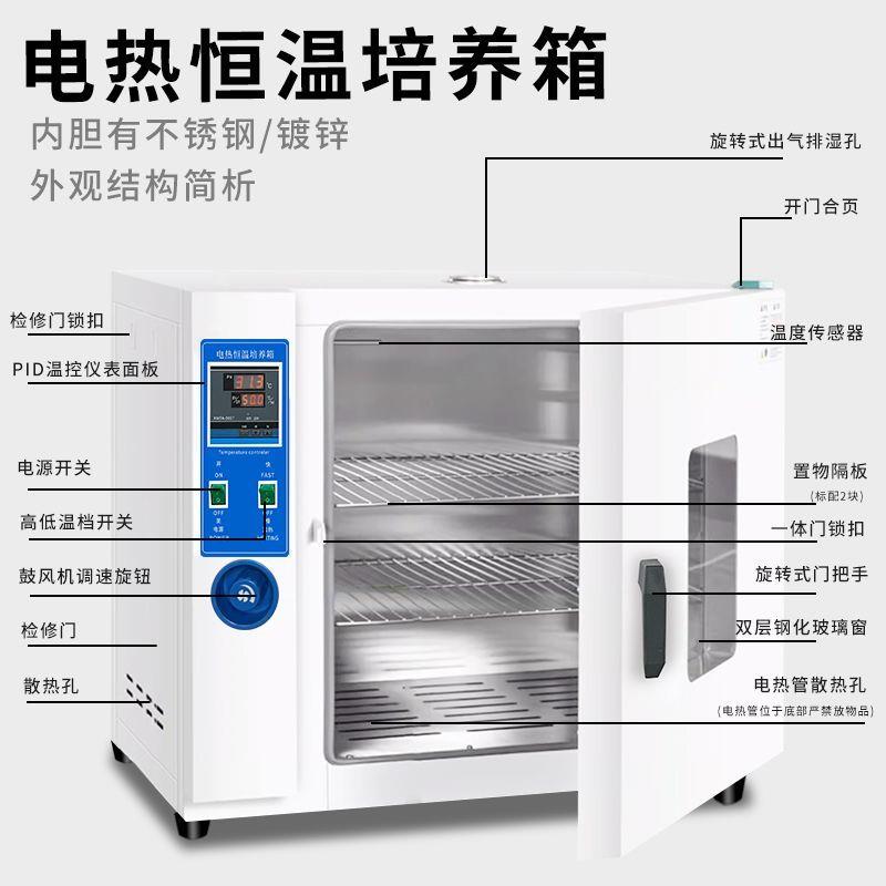 电热恒温培养箱实验室细