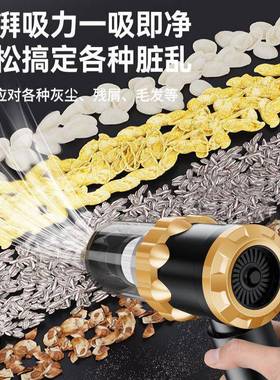 率车载吸尘器无线大XGL功干湿两用狗狗迷你发毛吸尘器物宠清洁用