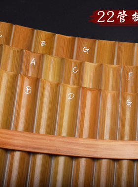 22管苦竹排箫专业演奏排萧G成人初学F排笛C调学生民族吹奏乐器