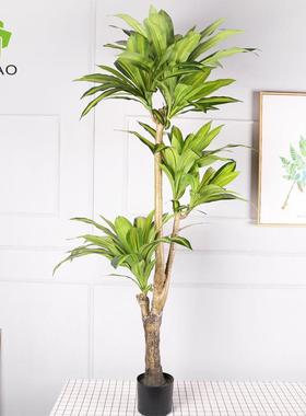 北欧仿真巴西木盆室型内装饰绿人植造摆栽件大仿真巴QH-53048西木