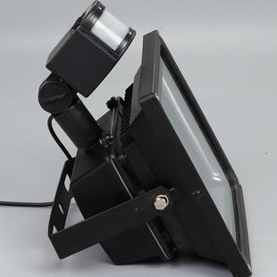 直供100人体感应太阳能投高灯W家用庭院新光农村道YH-TYN-P路亮泛