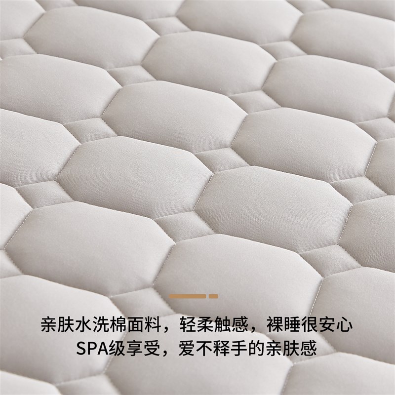 床垫软垫家用卧室海绵垫子四季通用租房专用垫被R褥子学生宿舍单