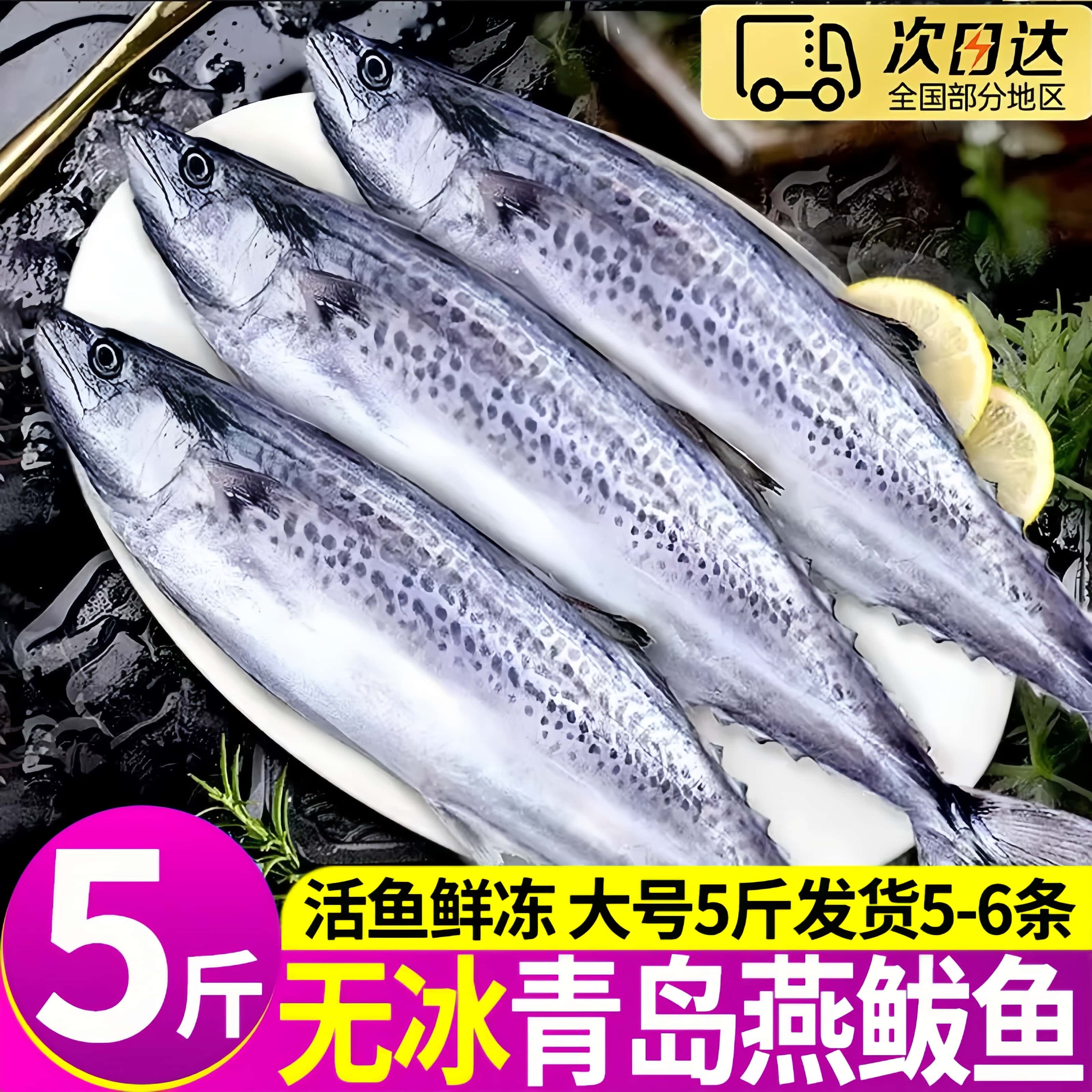 深海新鲜冷冻净重5斤马鲛鱼