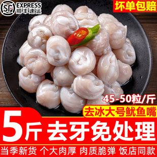 鱿鱼嘴新鲜去牙大号墨鱼嘴乌贼嘴冷冻目鱼嘴日料烧烤商用批发顺丰