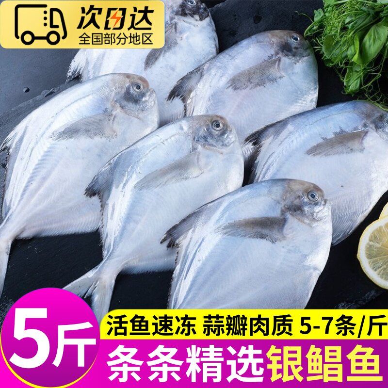 大海十三海捕新鲜冷冻银鲳鱼平鱼