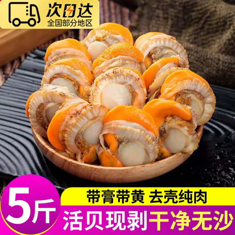 新鲜冷冻特大带黄带膏扇贝肉
