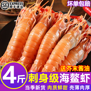 海鳌虾新鲜野生深海鳌虾刺身甜虾螯虾鲜活船冻国产非舟山熬虾顺丰
