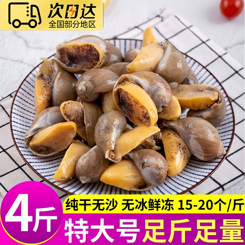 超大号黄金鲍鱼螺纯干鲜活速冻
