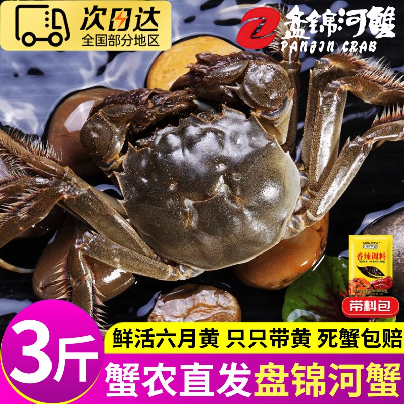 盘锦正宗鲜活稻田蟹大闸蟹六月黄