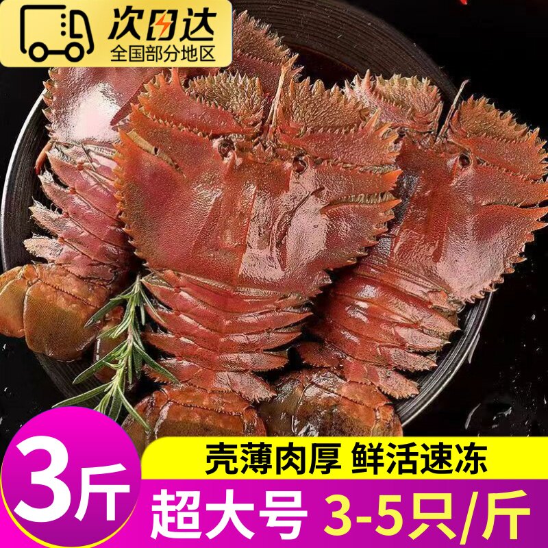 大海十三琵琶虾冷冻特大九齿扇虾