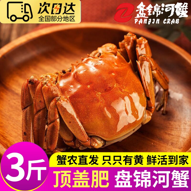 大海十三盘锦稻田河蟹大闸蟹礼盒