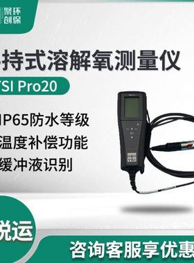 美国YSI Pro20型便携式溶氧仪 溶解氧测量仪 手持式溶解氧测量仪