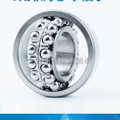 调心球轴承1310 1311 1312 1313 1314 1315 1316 1317 1318 1319K