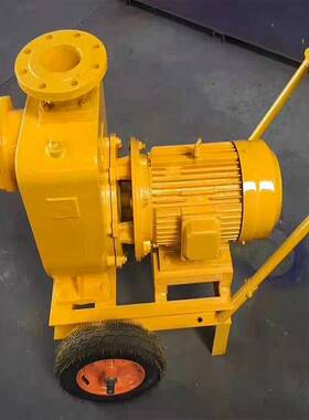 农用灌溉ZX自吸泵 清水自吸泵 柴油机传动卧式电动抽水离心泵