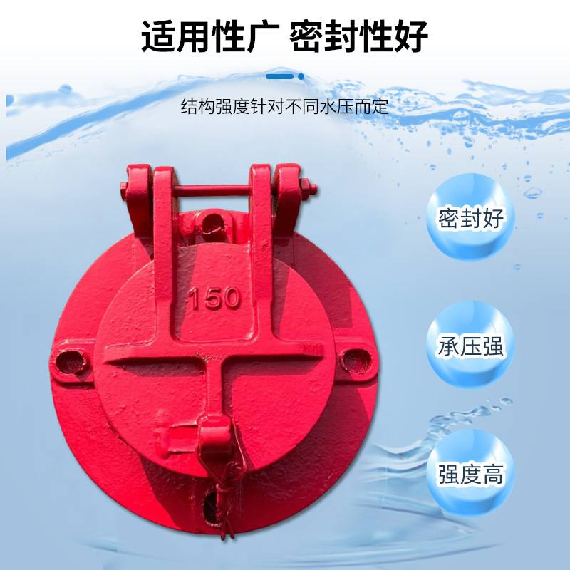 小型铸铁闸门污水管道侧开闸门铸铁闸门电动双止水闸20水管伐闸