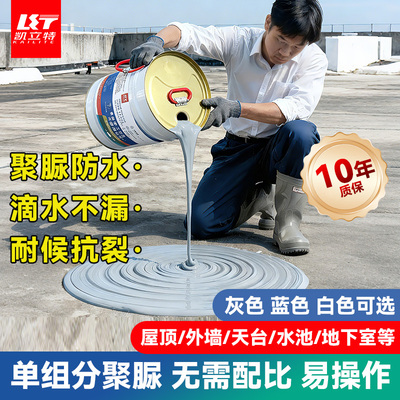kabwp凯立特聚脲防水涂料