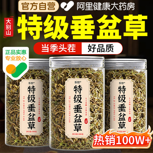 特级云南垂盆草中药材的功效与作用食用养护茶肝官方正品旗舰店