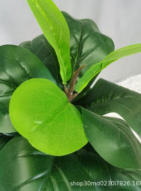 仿真盆琴叶榕盆栽景室落地室内客FZ-QYR-0厅办公落地装假树饰造景