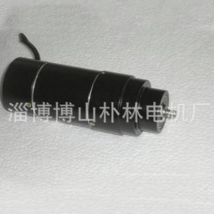 寿命长 微型无刷直流马达 厂家生产60WS3 100直流减速电机