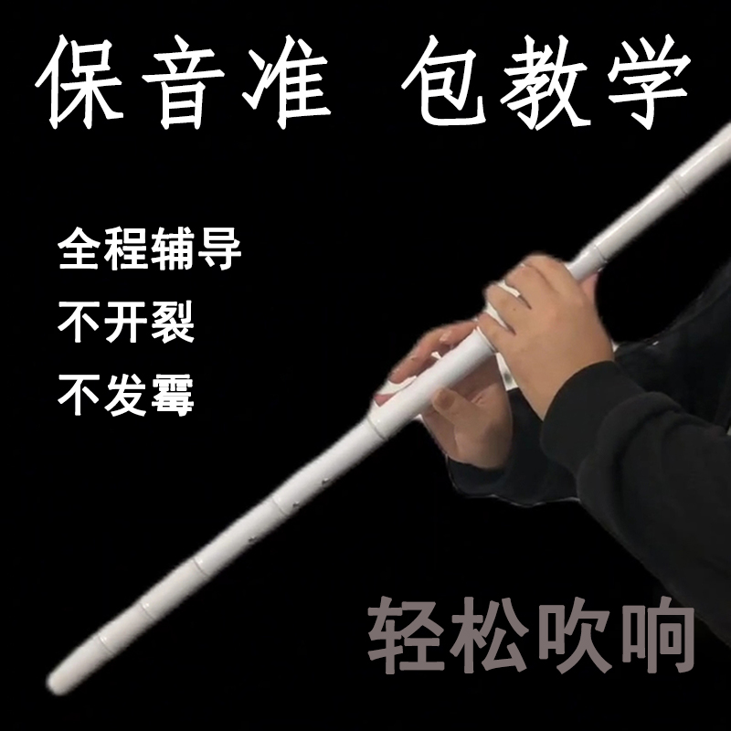 洞萧乐器仿玉树脂白色初学入门不B开裂F古风八孔G调萧水管长笛教