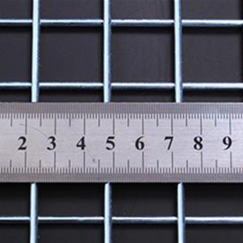 镀锌铁丝网围栏铁网网格网片小孔加粗防J护网电焊养殖网钢丝网防