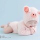 满月百天宝宝拍照服饰影楼拍照小猪造型主题套装 新款 儿童摄影服装