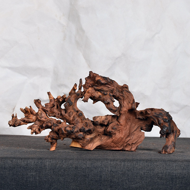 小号沉木珊瑚精品天然鱼缸造景免煮枯木树根杜鹃根紫柚水陆雨林缸,宠物/宠物食品及用品,造景/装饰,淘宝优惠券,粉丝福利购,淘宝优惠卷